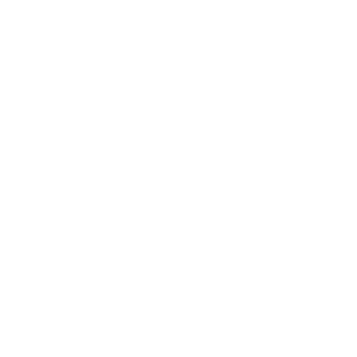 logo presentation