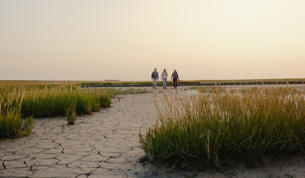 Uithuizerwad, onderdeel van het Ziltepad